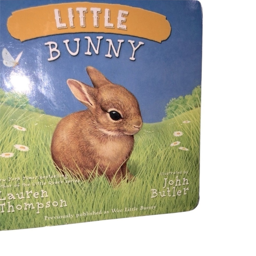 Little Bunny kids book